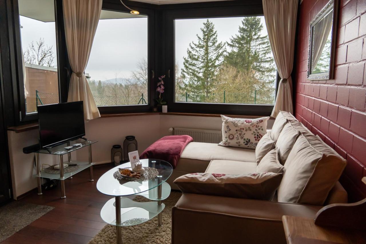 Fewo Harzer Weitblick, Hunde Willkommen, W-Lan, 2X Smart Tv, Dtv 4 Sterne, 4 Pfoten Braunlage Eksteriør bilde