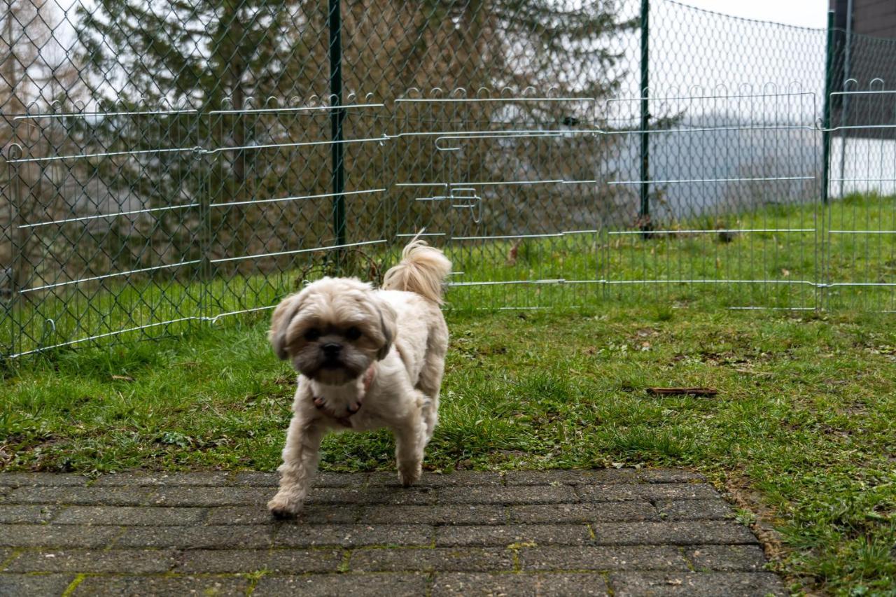 Fewo Harzer Weitblick, Hunde Willkommen, W-Lan, 2X Smart Tv, Dtv 4 Sterne, 4 Pfoten Braunlage Eksteriør bilde