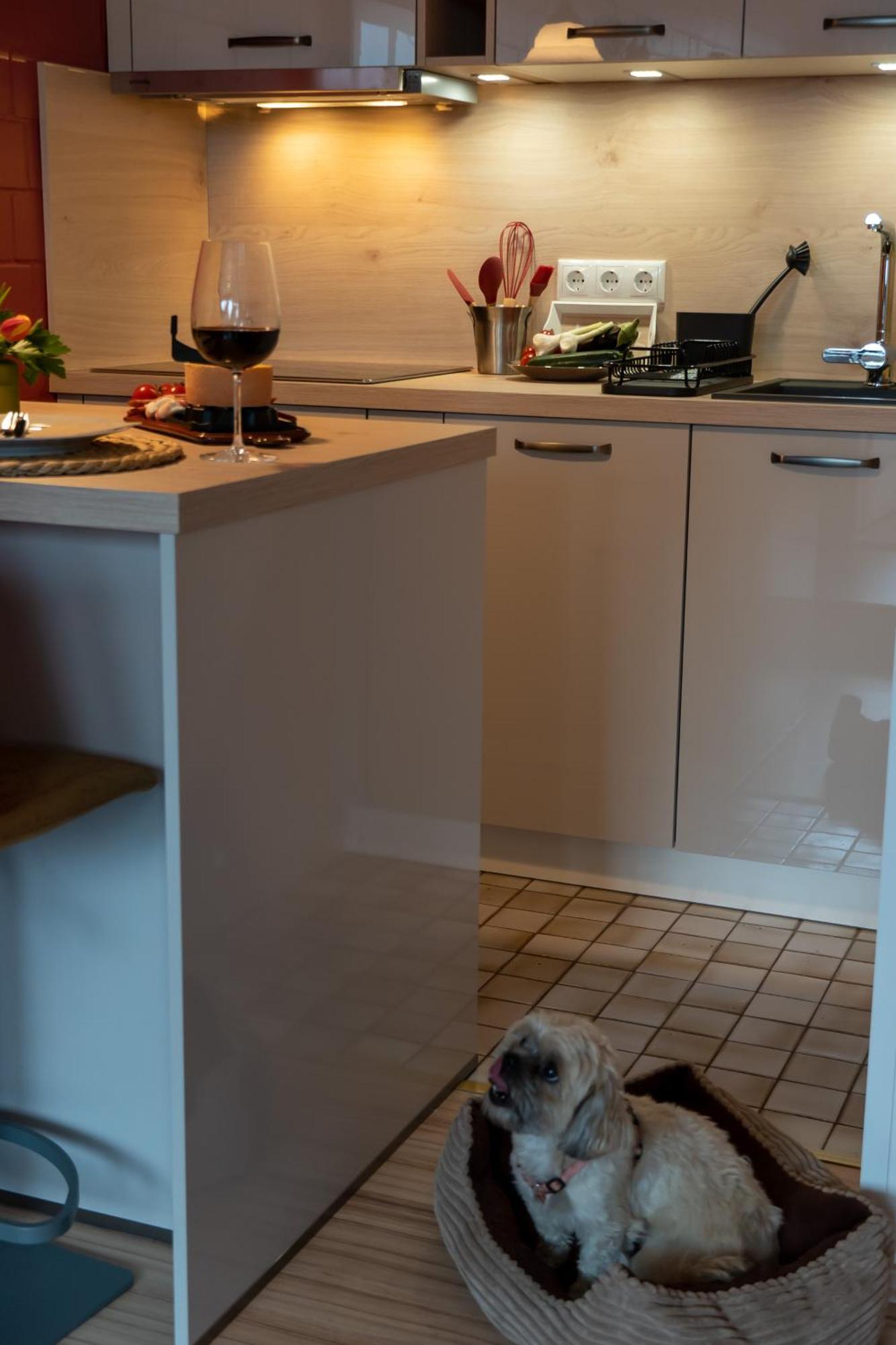 Fewo Harzer Weitblick, Hunde Willkommen, W-Lan, 2X Smart Tv, Dtv 4 Sterne, 4 Pfoten Braunlage Eksteriør bilde