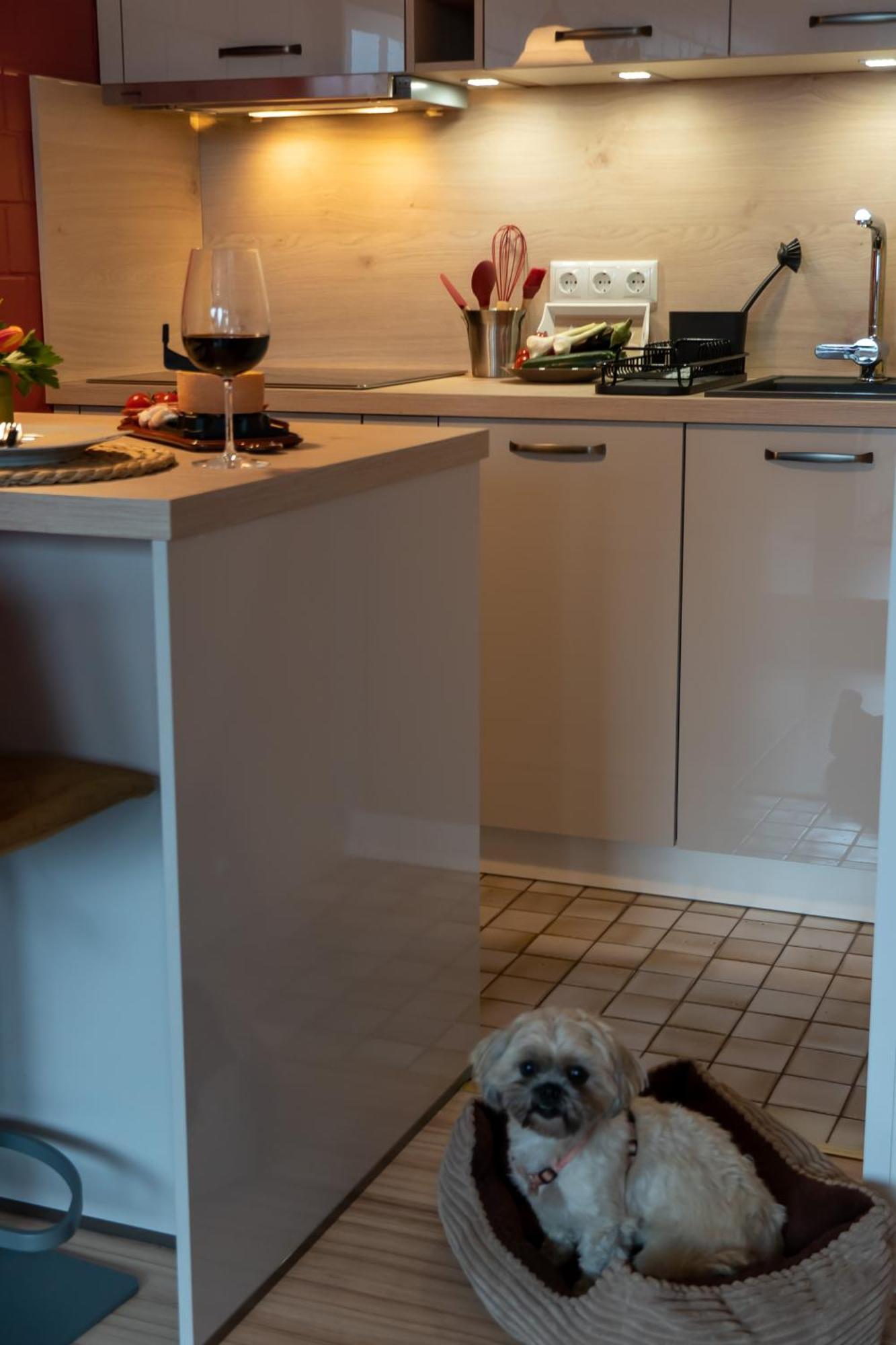 Fewo Harzer Weitblick, Hunde Willkommen, W-Lan, 2X Smart Tv, Dtv 4 Sterne, 4 Pfoten Braunlage Eksteriør bilde