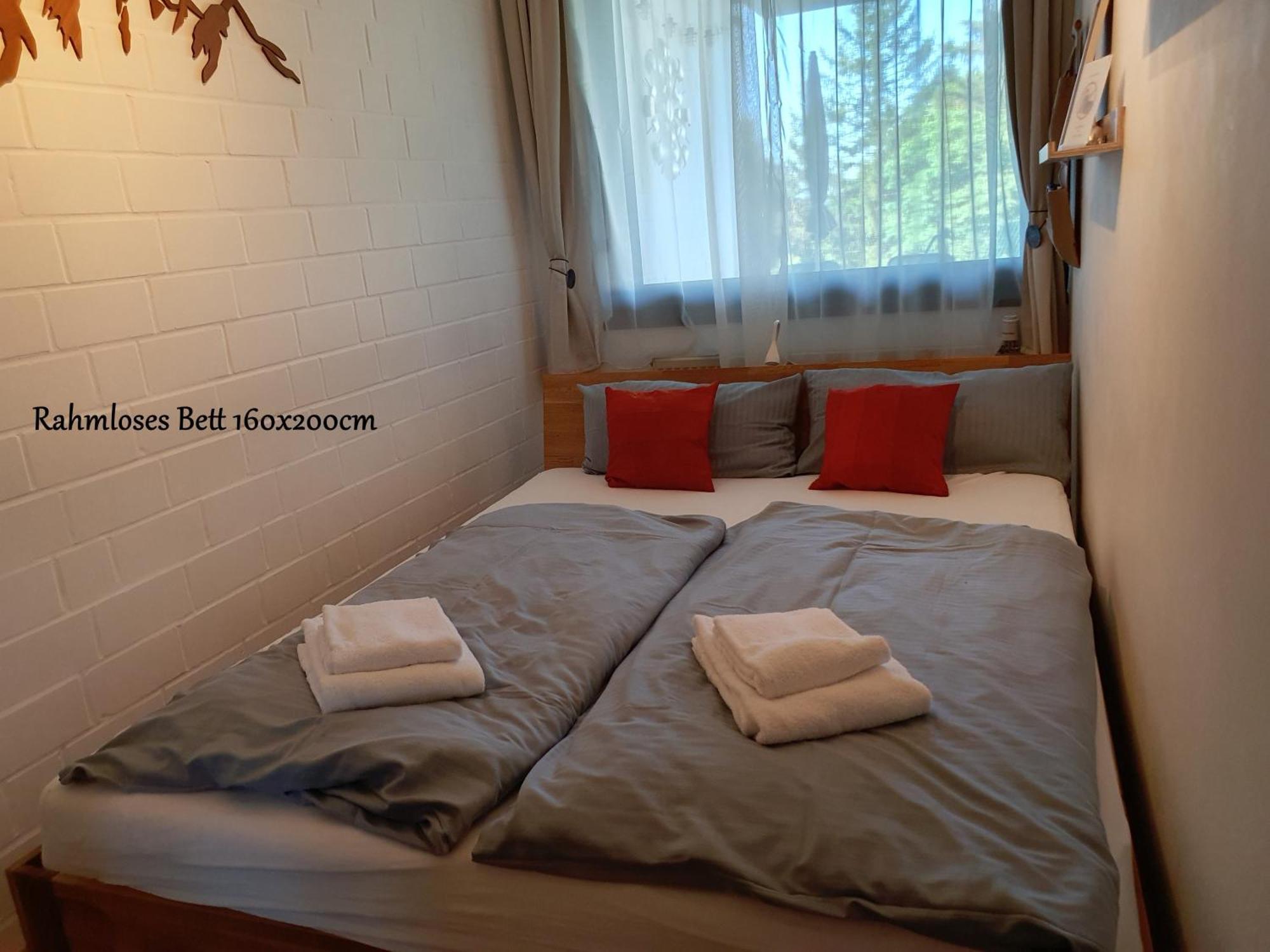 Fewo Harzer Weitblick, Hunde Willkommen, W-Lan, 2X Smart Tv, Dtv 4 Sterne, 4 Pfoten Braunlage Eksteriør bilde